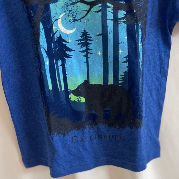 Rabbit Skins Glow In The Dark Blue T Shirt “Gatlinburg” Forest/bear Boys Size 3 - Picture 7 of 7